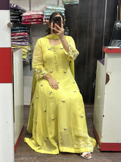 Nyon Green Organza Designer Anarkali Dress with Handwork Sleeves with Pant and Full Brush Paint Organza Dupatta